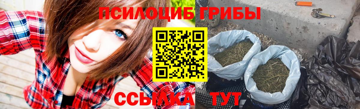 как найти наркотики  Вход с VPN  Кубинка  Псилоцибиновые грибы Psilocybe 